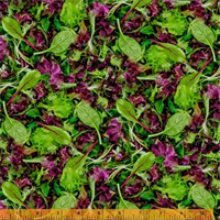 Windham Fabrics 2556-016 Mixed Salad