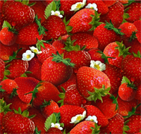 Elizabeth's Studio 155 Food Festival Strawberry