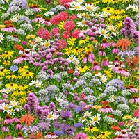 Elizabeth's Studio 518 Multi Landscape Medley Bee & Flower