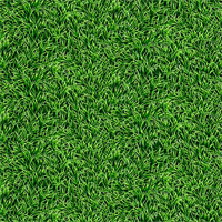 STOF Fabrics  807-945 Grass
