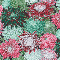 Philip Jacobs PWPJ-041 Japanese Chrysanthemum - Blush
