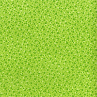 3222-001 RJR Fabrics Square Dance Sprout