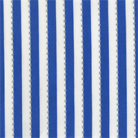 Anthology BC28Q-5 Be Colourful Magic Stripe Blue