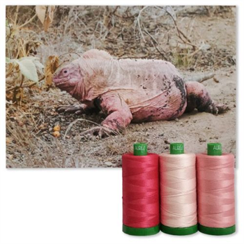 Aurifil Colour Builder AC40C3-005 Pink Land Iguana