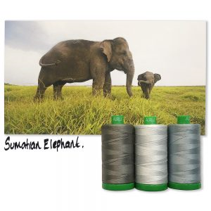 Aurifil Color Builder AC40CP3-001 Sumatra Elephant