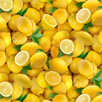 Elizabeths Studio 483 Food Festival Yellow Lemon