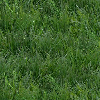 Elizabeths Studio 250 Green Landscape Medley Grass