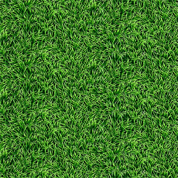STOF Fabrics  807-945 Grass