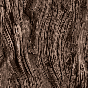 QT Fabrics 28113-AJ Driftwood Dark Brown