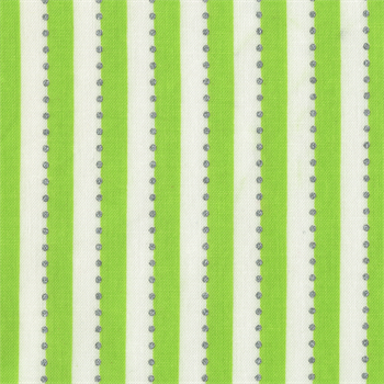 Anthology BC28Q-7 Be Colourful Magic Stripe Green